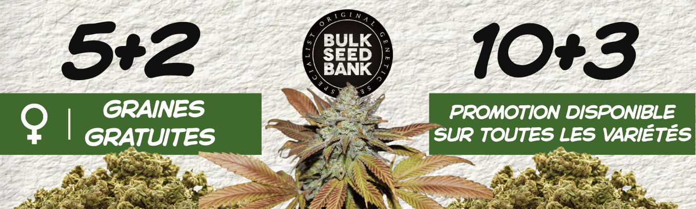 Bulk seeds free seed promo Bulk seeds free seed promo